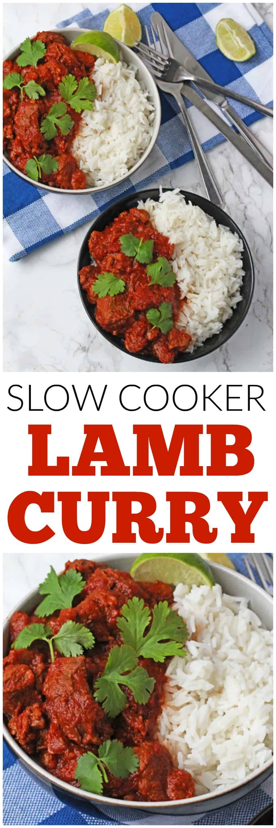 Easy Slow Cooker Lamb Curry - My Fussy Eater | Easy Family Recipes