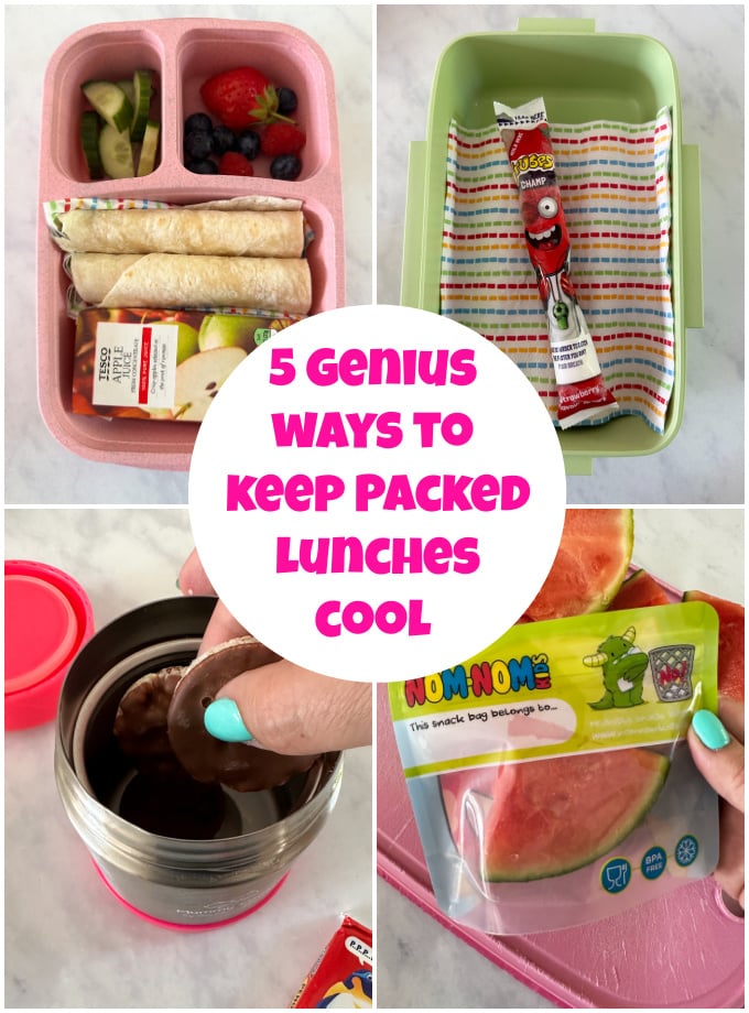 https://www.myfussyeater.com/wp-content/uploads/2023/06/Keep-Packed-Lunches-Cool-Pin-1.jpg